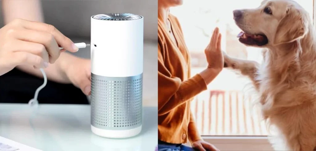 lady connects Blast Auxiliary Premium HEPA Air Cleaner and gives high 5 to dog