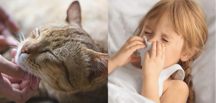 little girl sneezing after touching cat Blast Auxiliary Premium HEPA Air Cleaner