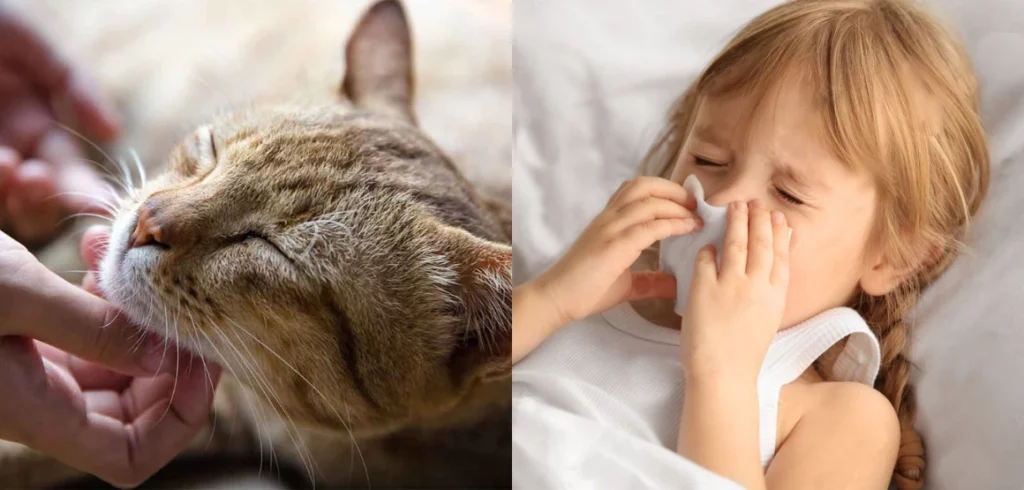 little girl sneezing after touching cat Blast Auxiliary Premium HEPA Air Cleaner